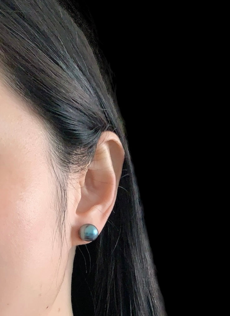 10.5-11mm Black Button Pearl Stud Earrings